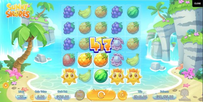 Sunny Wild symbols triggers a 340.00 jackpot.