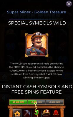 Wild Symbol