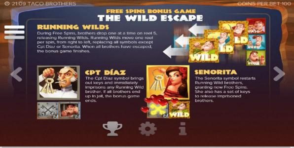 Free Spins Bonus Game - The Wild Escape - Rules and How to Play