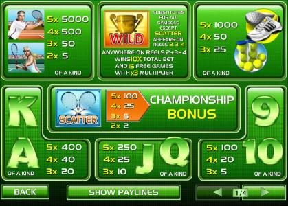 Wild, Scatter, Bonus and slot game symbols paytable