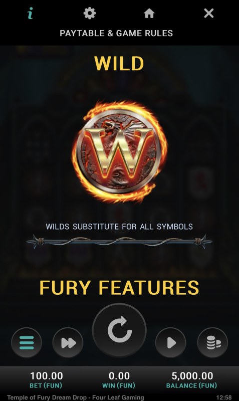 Wild Symbol