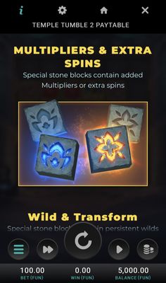 Multipliers and Extra Spin