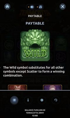 Wild Symbol