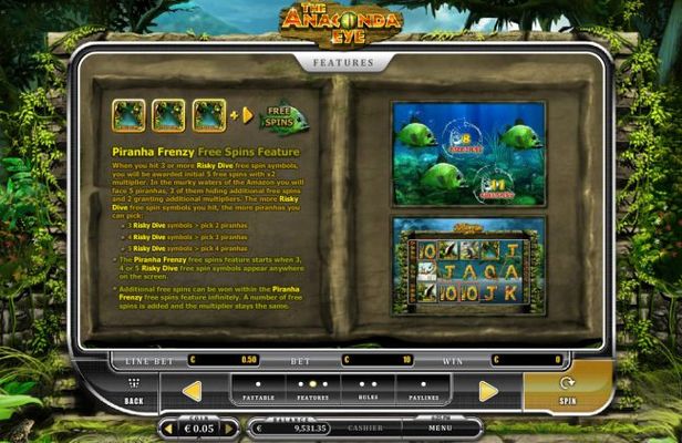 Free Spins Feature Rules