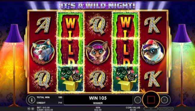 A pair of Random Stacked Wilds leads to a big win during the Free Spins feature.