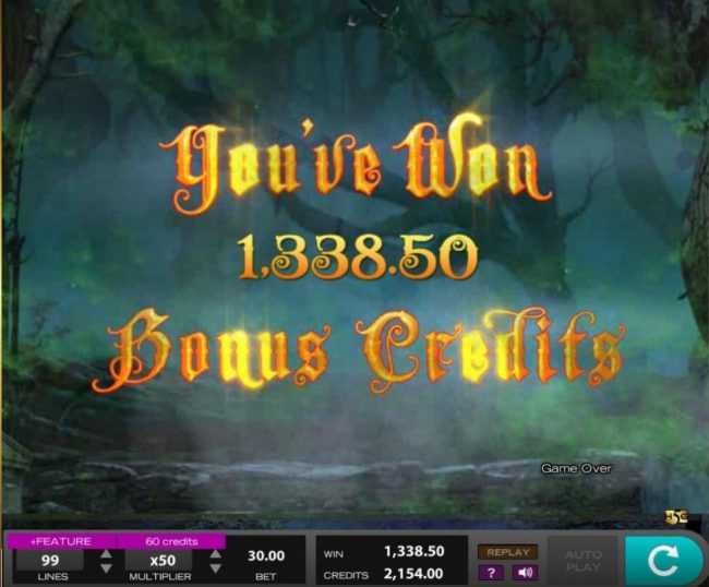 Total bonus win 1,338.50