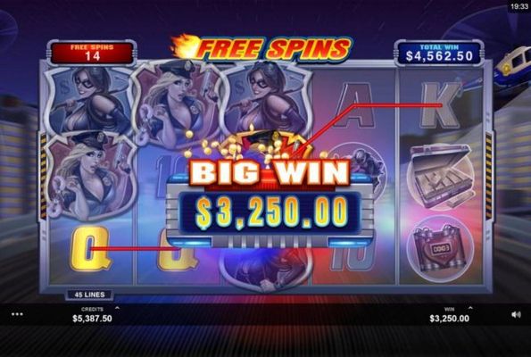 Multiple winning paylines triggers a 3,250.00 big win during the Free Games feature!