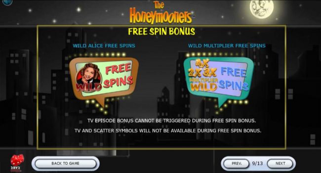 Free Spins Bonus Options
