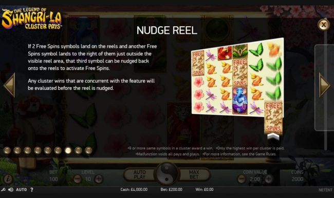 Nudge Reel Rules