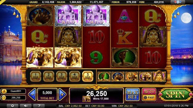 Multiple winning paylines