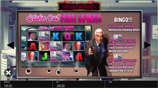 Stake Out Free Spins Feature