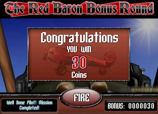 Bonus feature pays out a total of 30 coins.