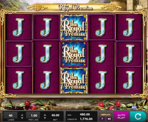 Multiple winning paylines triggers a big win