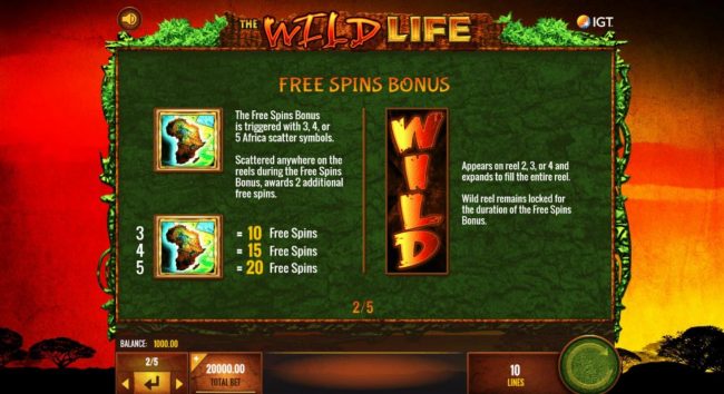 Free Spins Bonus Rules