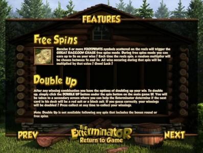 free spins and double up feature rules