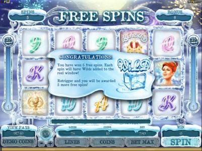 you have won 5 free spins. each spin will have wilds added to the reel window