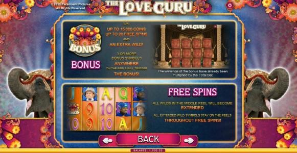 bonus and free spins feature rules