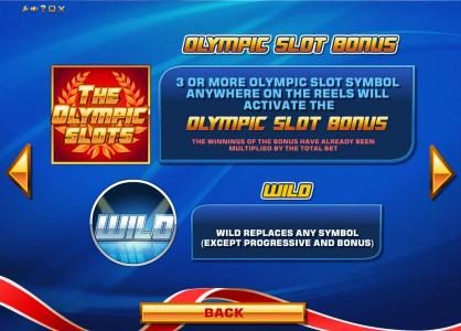 wild symbols rules