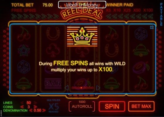 During Free Spins all wins with wild multiply your wins up to x100