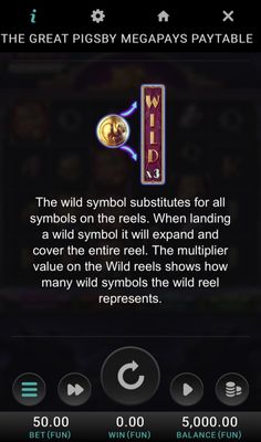 Wild Symbol