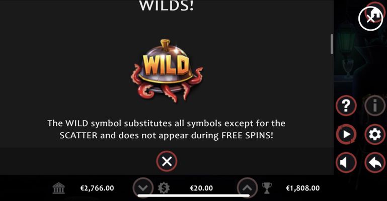 Wild Symbol