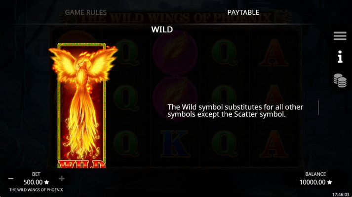 Wild Symbol