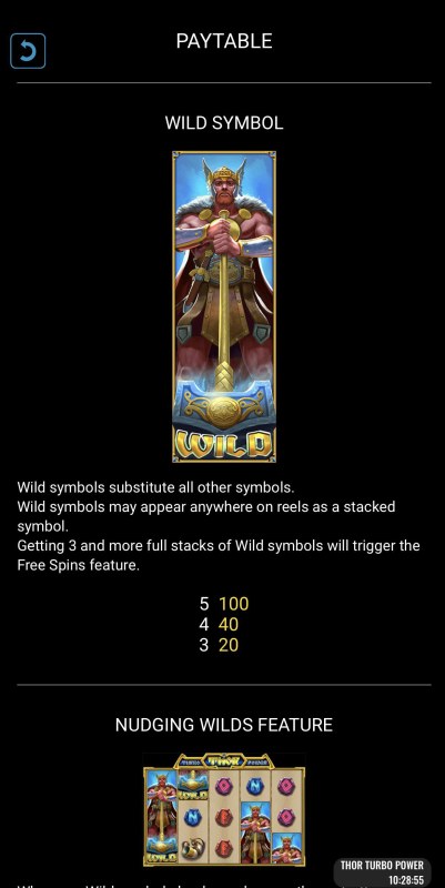 Wild Symbol