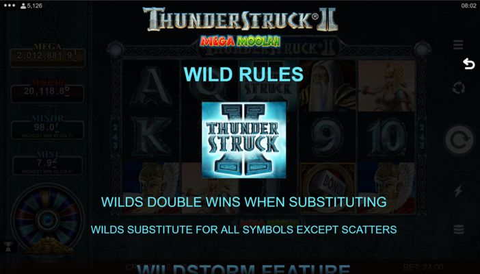 Wild Symbol Rules