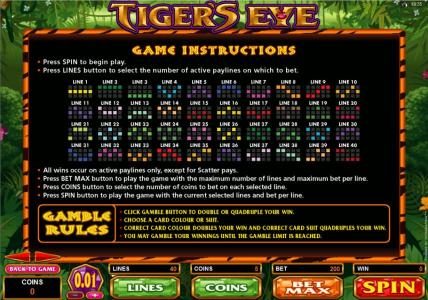 Game instructions, payline diagrams and gamble rules