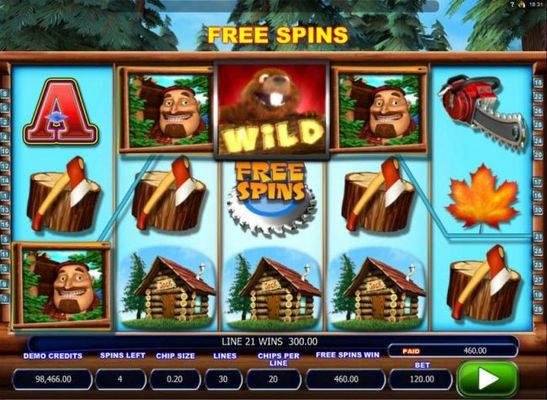 A 460.00 big win triggered during the free spins feature.