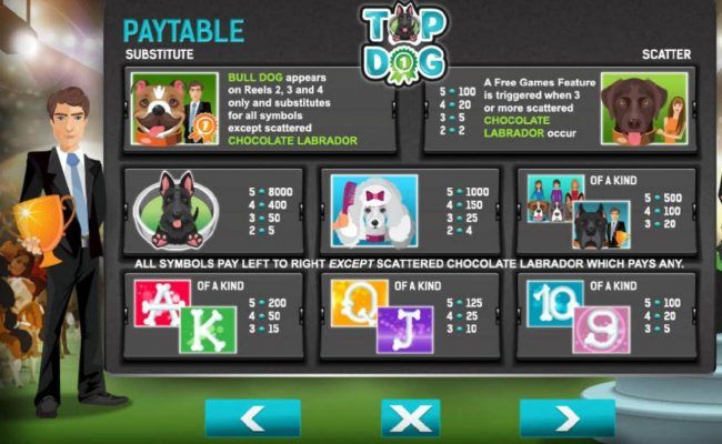 Slot game symbols paytable