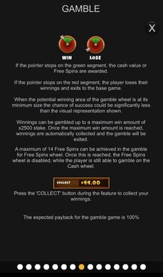 Feature Rules
