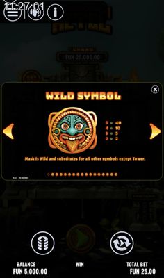 Wild Symbol