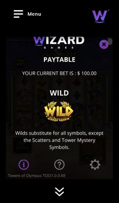 Wild Symbol