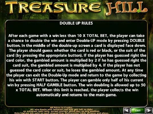 Double Up Gamble Feature Rules