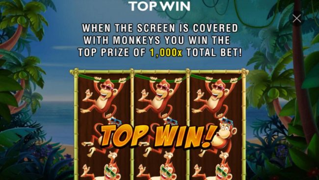 When the screen is covered with monkeys you win the top prize of 1,000x total bet!