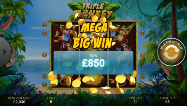 An 850.00 Mega Win!