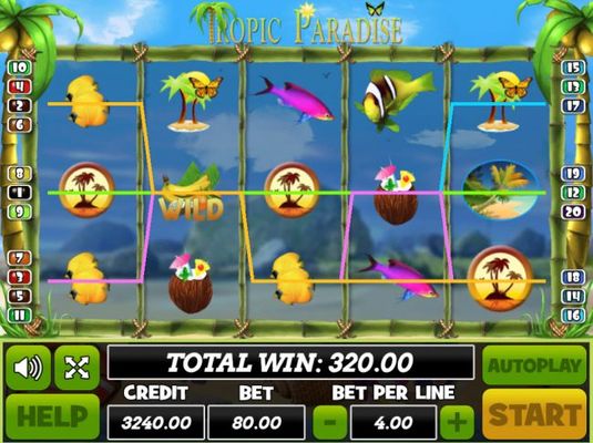 Multiple winning paylines