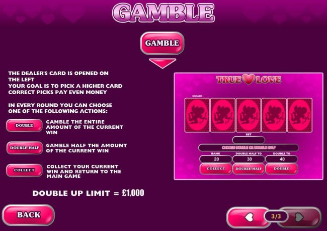 Gamble Feature Rules