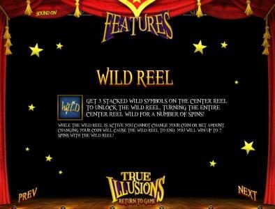 wild reel feature rules