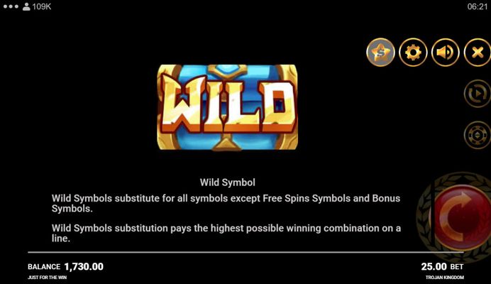 Wild Symbol