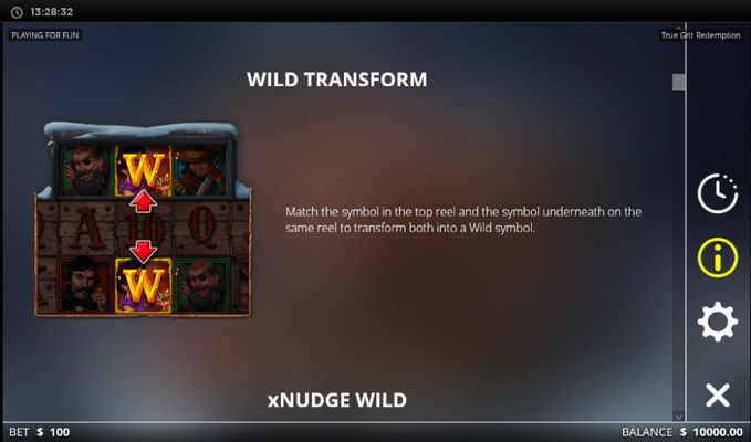 Wild Transform