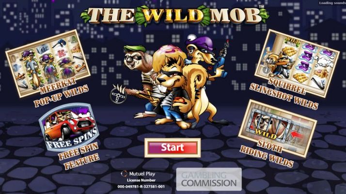 The Wild Mob :: Introduction