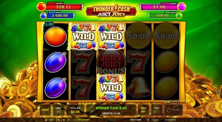 Multiple winning paylines