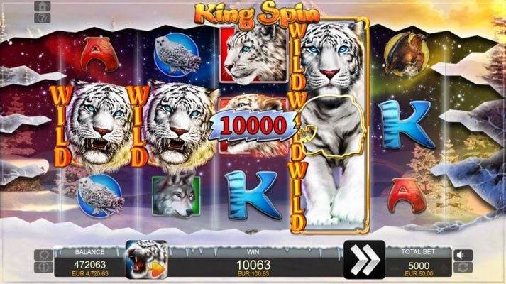 Tiger King Deluxe :: Multiple winning combinations leads to a big win