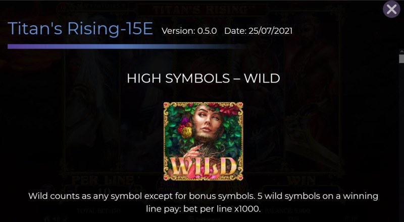 Wild Symbol Rules