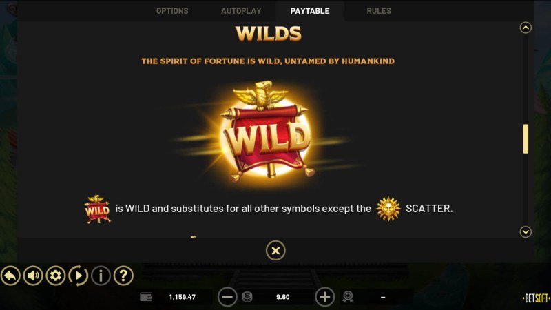 Wild Symbol Rules