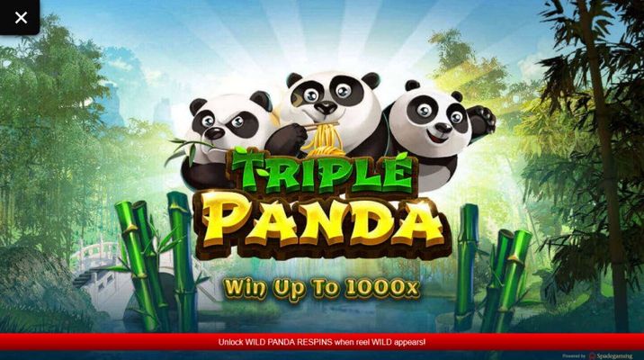 Triple Panda :: Introduction