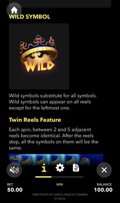 Wild Symbol