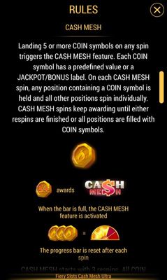 Cash Mesh